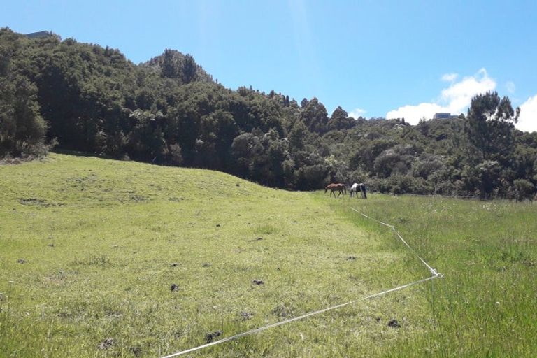 Photo of property in 6b Tapu Creek Farms, Tapu, Thames, 3575