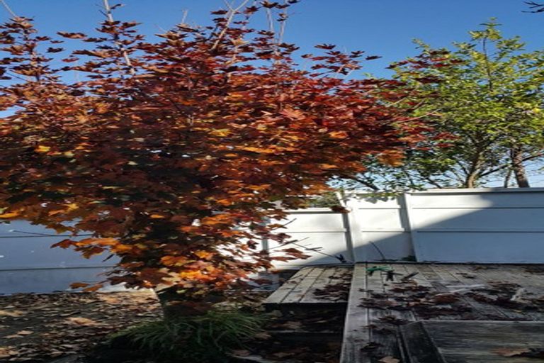 Photo of property in 9 Fowlers Avenue, Frankton, Hamilton, 3204