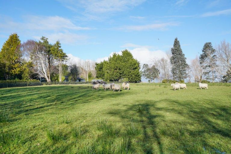 Photo of property in 275 Drysdale Road, Myross Bush, Invercargill, 9872