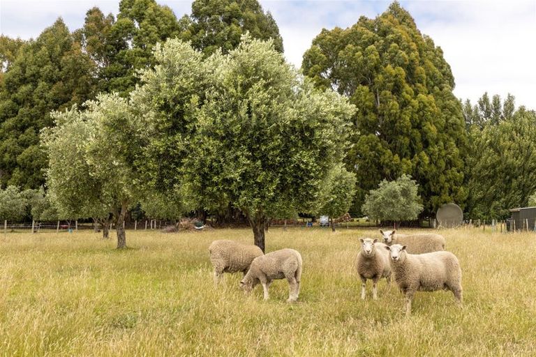 Photo of property in 84 Rarangi Road, Rarangi, Blenheim, 7273