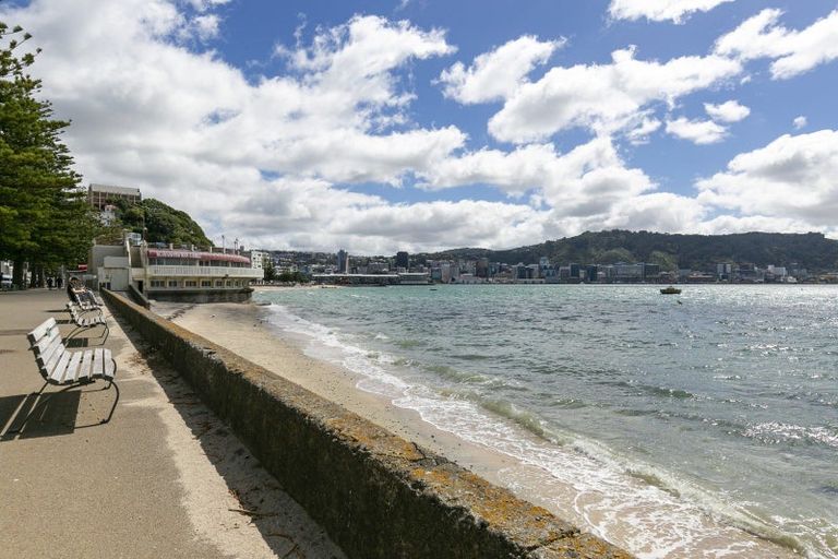 Photo of property in Coburn House, 246 Oriental Parade, Oriental Bay, Wellington, 6011