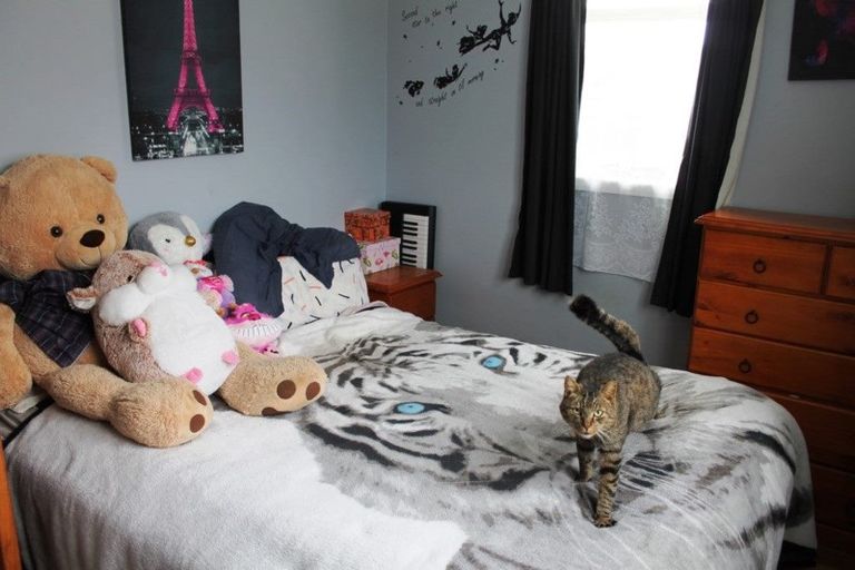 Photo of property in 31 Bear Street, Tirau, 3410