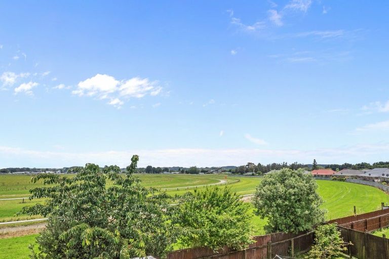 Photo of property in 22 Mahoe Street, Levin, 5510