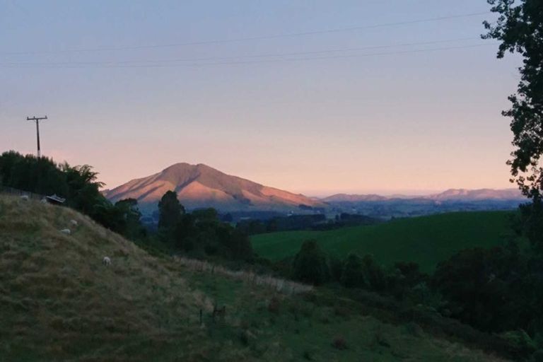 Photo of property in 389 Mangati Road, Puketotara, Te Awamutu, 3876