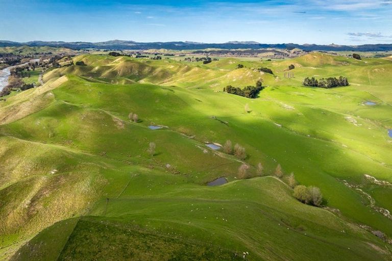 Photo of property in 210 Ongaonga Road, Waipawa, 4272