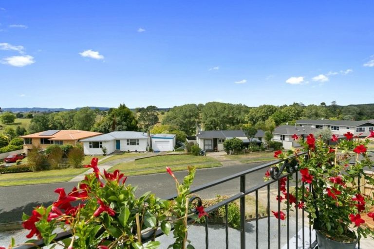 Photo of property in 17 Bledisloe Avenue, Putaruru, 3411