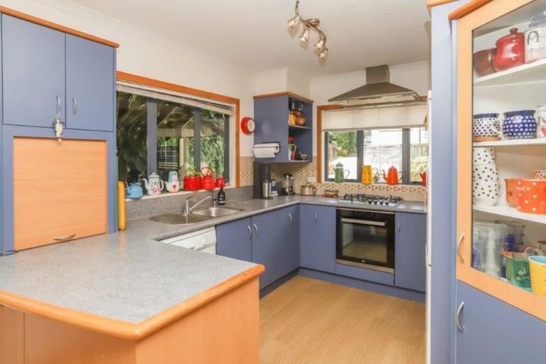 Photo of property in 19a Thomson Avenue, Dinsdale, Hamilton, 3204