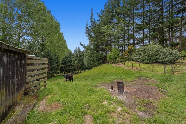 Photo of property in 133 Hogg Road, Rotoma, Whakatane, 3192