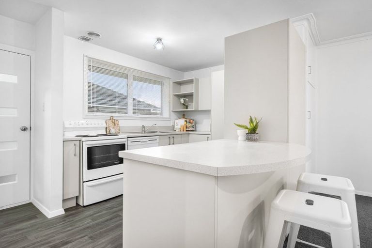 Photo of property in 161 Halswell Road, Hillmorton, Christchurch, 8025