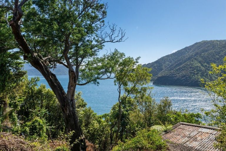 Photo of property in 308 Port Underwood Road, Whatamango Bay, Picton, 7281