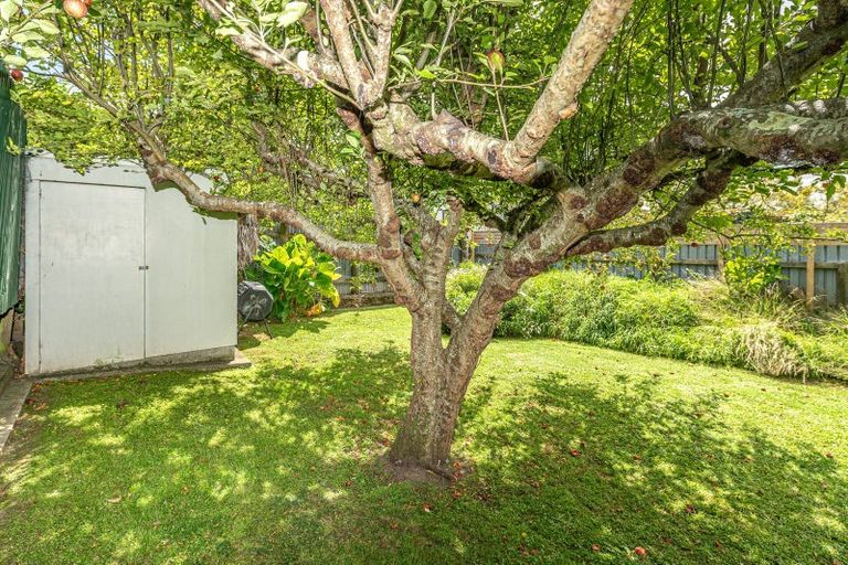 Photo of property in 6 Park Place, Whanganui, 4500