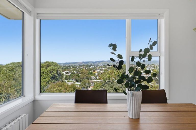 Photo of property in 20 Brookfield Terrace, Brookfield, Tauranga, 3110