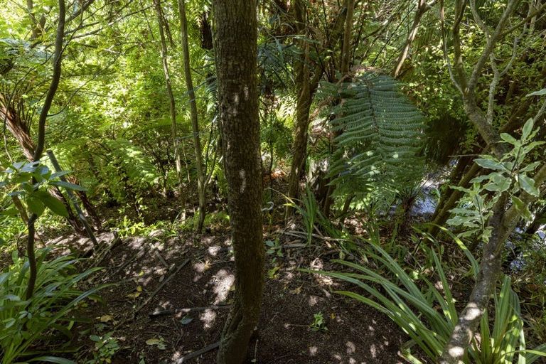 Photo of property in 66 Pataka Road, Taupo, 3330