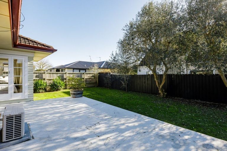 Photo of property in 77 Clarkin Road, Fairfield, Hamilton, 3214