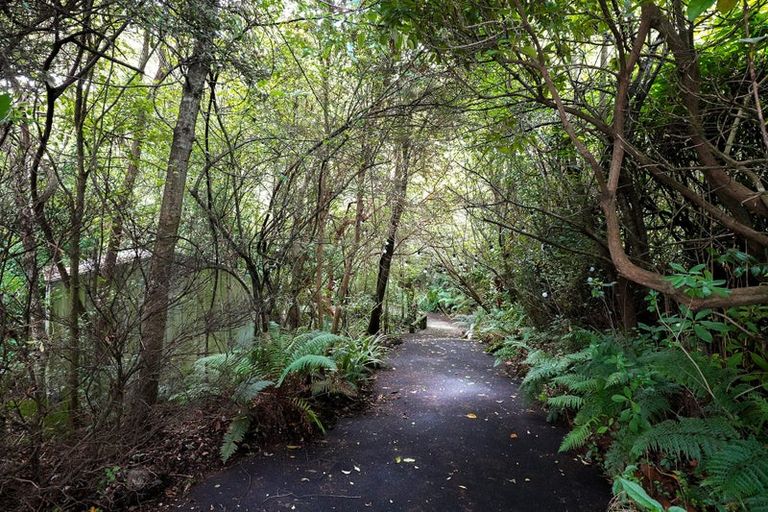 Photo of property in 54 Montague Street, North East Valley, Dunedin, 9010