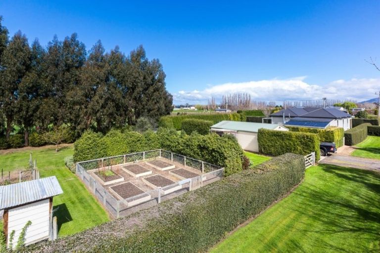 Photo of property in 524 Allanton Road, Outram, 9019