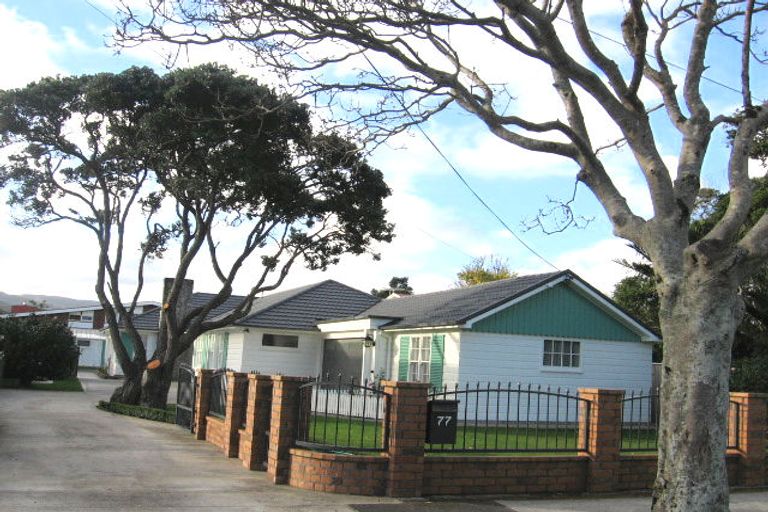 Photo of property in 77 Pretoria Street, Hutt Central, Lower Hutt, 5010