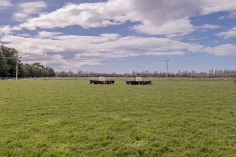 Photo of property in 201 Hollands Road, Tinwald, Ashburton, 7771