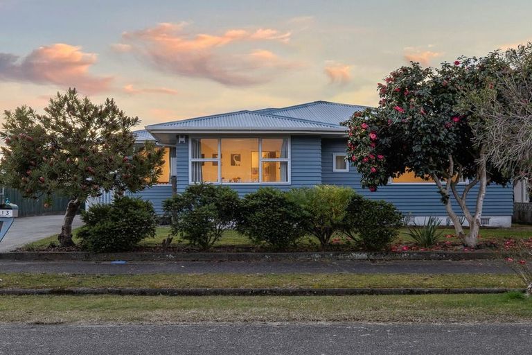 Photo of property in 13 Bowen Street, Levin, 5510