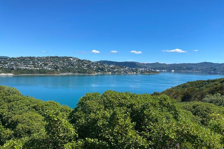 Photo of property in 95 Kaikoura Street, Maupuia, Wellington, 6022