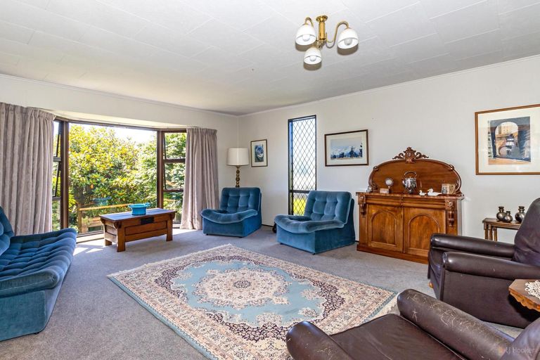 Photo of property in 30 Forest Road, Geraldine, 7930