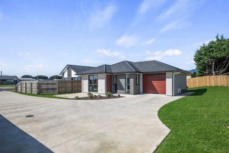 Photo of property in 79a Hinemoa Street, Levin, 5510