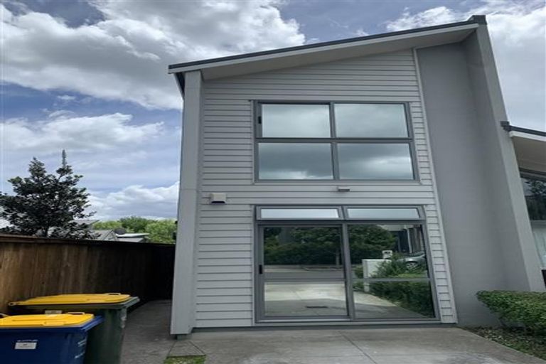 Photo of property in 22 Liquidambar Drive, Hobsonville, Auckland, 0616