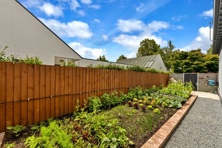 Photo of property in 47 Ayers Street, Rangiora, 7400