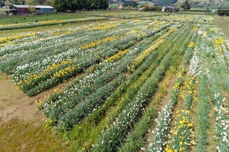 Photo of property in 457 Muhunoa Road East, Muhunoa East, Levin, 5570