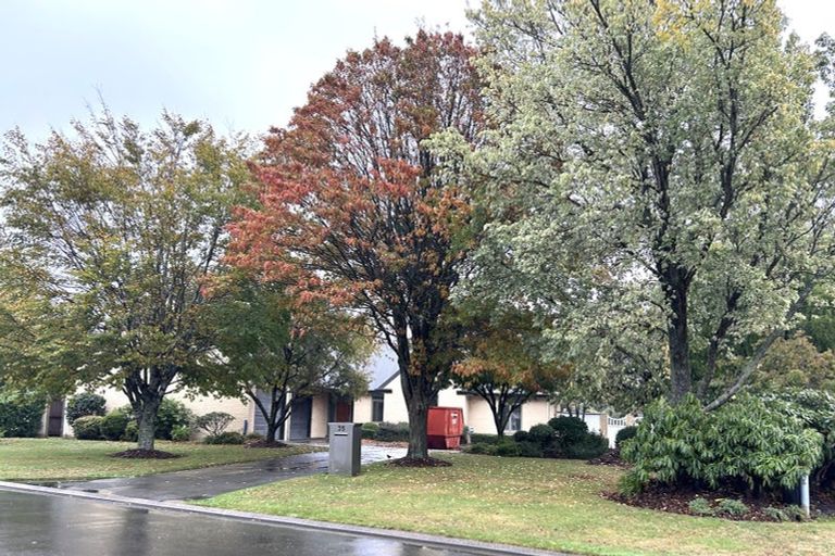 Photo of property in 35 Stonebridge Way, Prebbleton, 7604