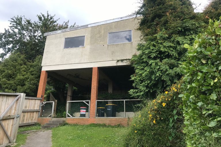 Photo of property in 51b Peter Street, Caversham, Dunedin, 9012