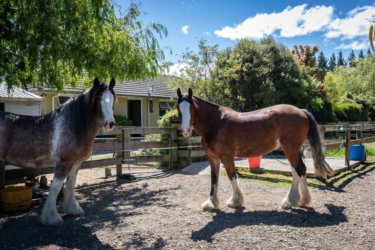 Photo of property in 756 Poyntzs Road, Eyrewell, Rangiora, 7476