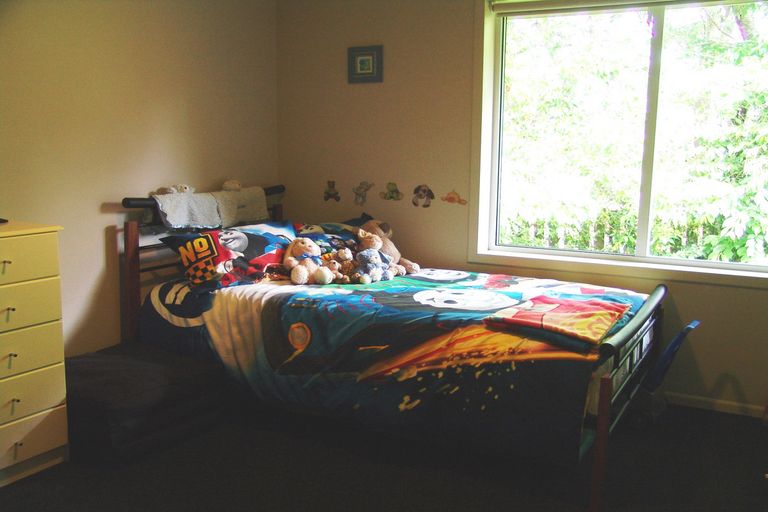 Photo of property in 201 Bridgman Road, Te Awamutu, 3800