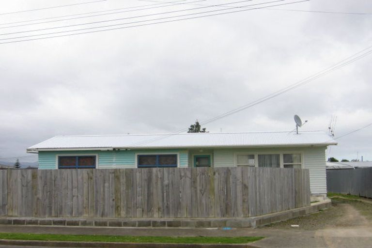 Photo of property in 20 Beatty Street, Levin, 5510