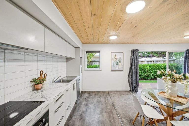 Photo of property in 7 Ettrick Lane, Richmond, Christchurch, 8013