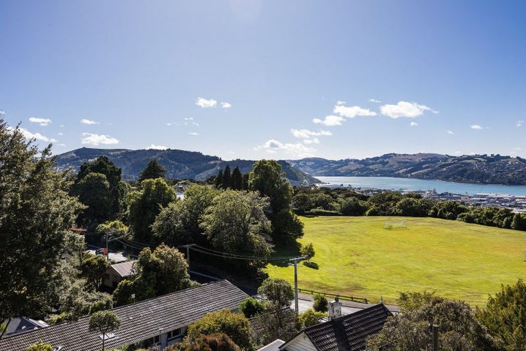 Photo of property in 20 Littlebourne Road, Roslyn, Dunedin, 9010