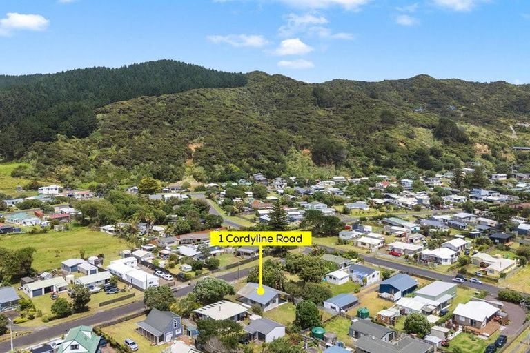 Photo of property in 1 Cordyline Road, Port Waikato, Tuakau, 2695