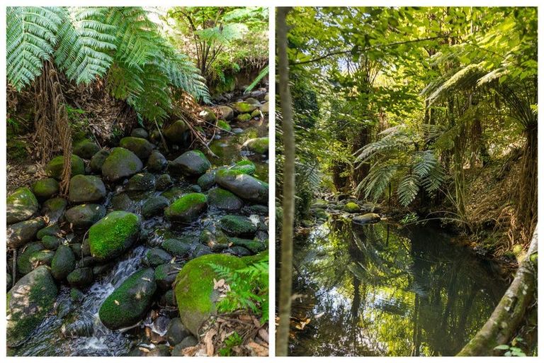 Photo of property in 99b Rea Road, Tahawai, Katikati, 3178