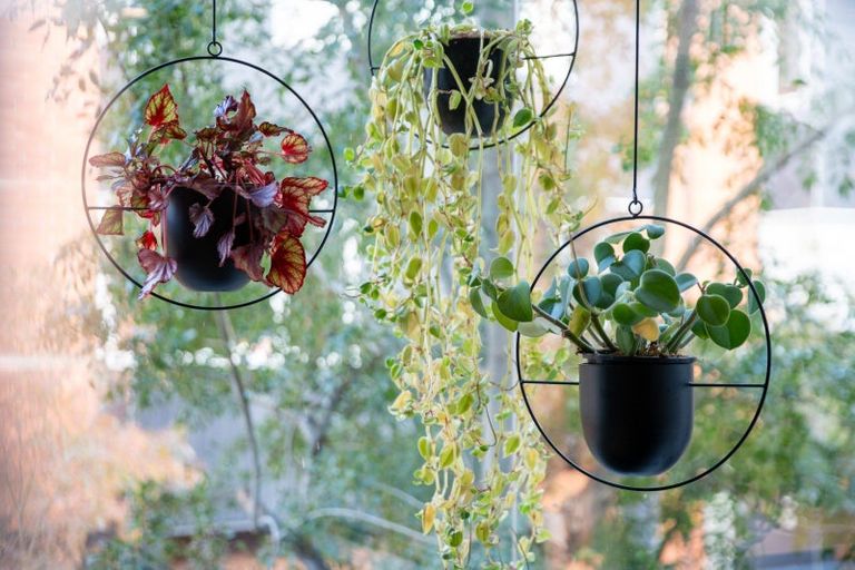 Photo of property in The Altair, 36/120 Rintoul Street, Newtown, Wellington, 6021