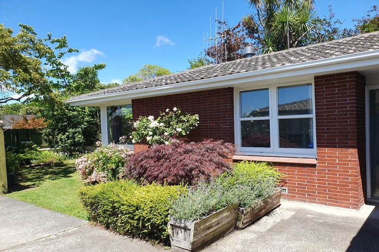 Photo of property in 252a Victoria Avenue, Hokowhitu, Palmerston North, 4410