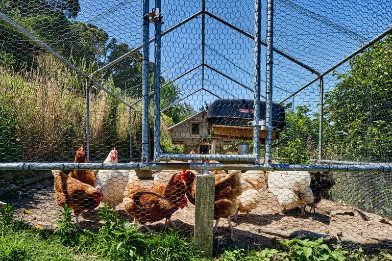 Photo of property in 137 Barnard Street, Wadestown, Wellington, 6012