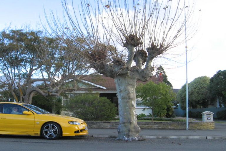 Photo of property in 54 Nelson Crescent, Napier South, Napier, 4110