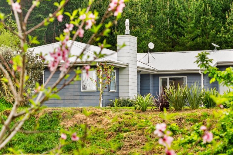 Photo of property in 770 Puketitiri Road, Puketapu, Napier, 4182