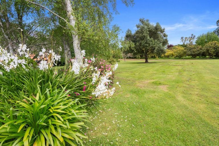Photo of property in 13 Astelia Drive, Omokoroa, 3114