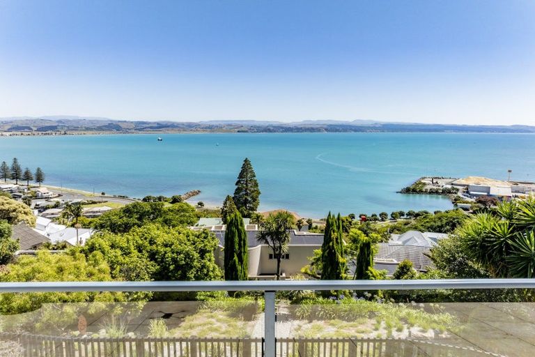 Photo of property in 157 Thompson Road, Bluff Hill, Napier, 4110