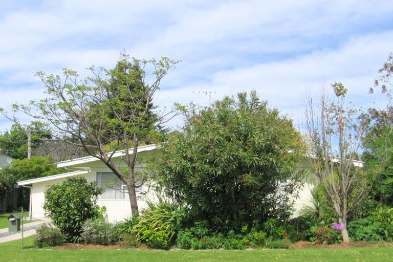 Photo of property in 98 Oak Street, Mangapapa, Gisborne, 4010