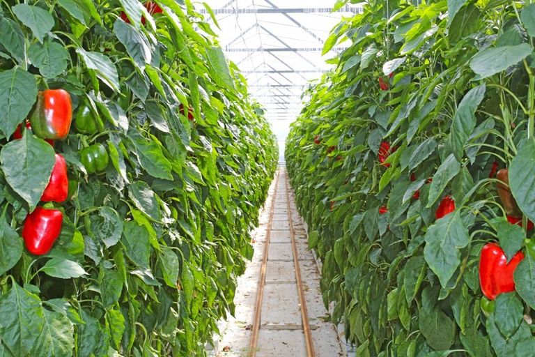 Photo of property in 83 Appleby Road, Drury, 2577