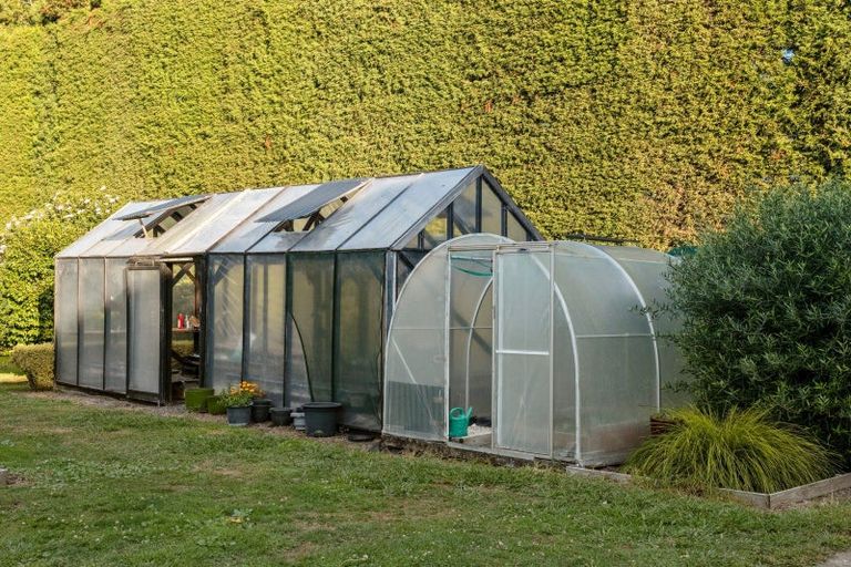 Photo of property in 241 Rea Road, Tahawai, Katikati, 3178