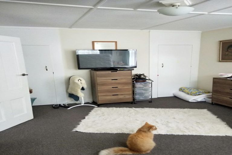 Photo of property in 18b Mckenzie Street, Levin, 5510