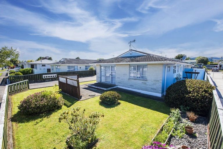 Photo of property in 60c Winchester Street, Levin, 5510